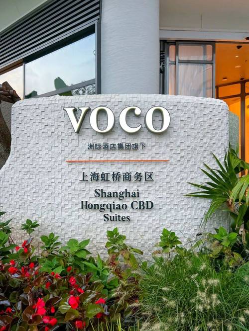 上海商务伴游服务，融合商务与观光，带来独特体验