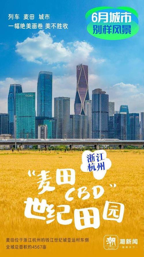 杭州伴游价格表_杭州商务伴游体验_杭州高端商务伴游