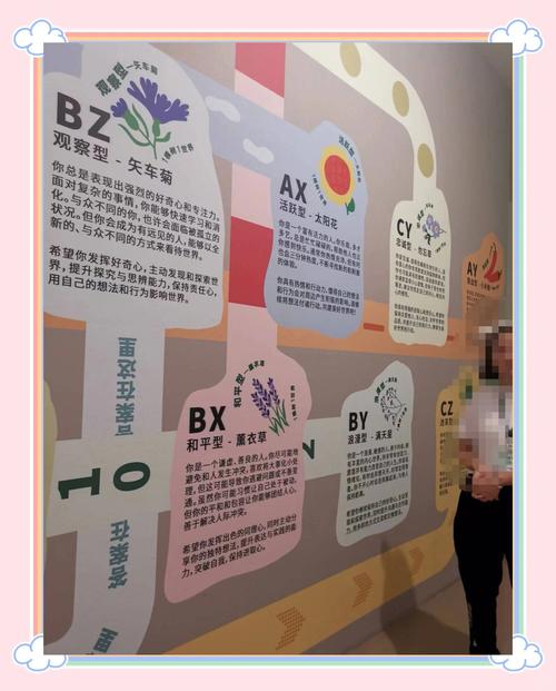北京私人导游服务：独特体验与参差不齐的实际水平