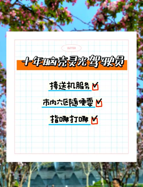 天津个性化导游服务：优势尽显，却也暗藏不足？